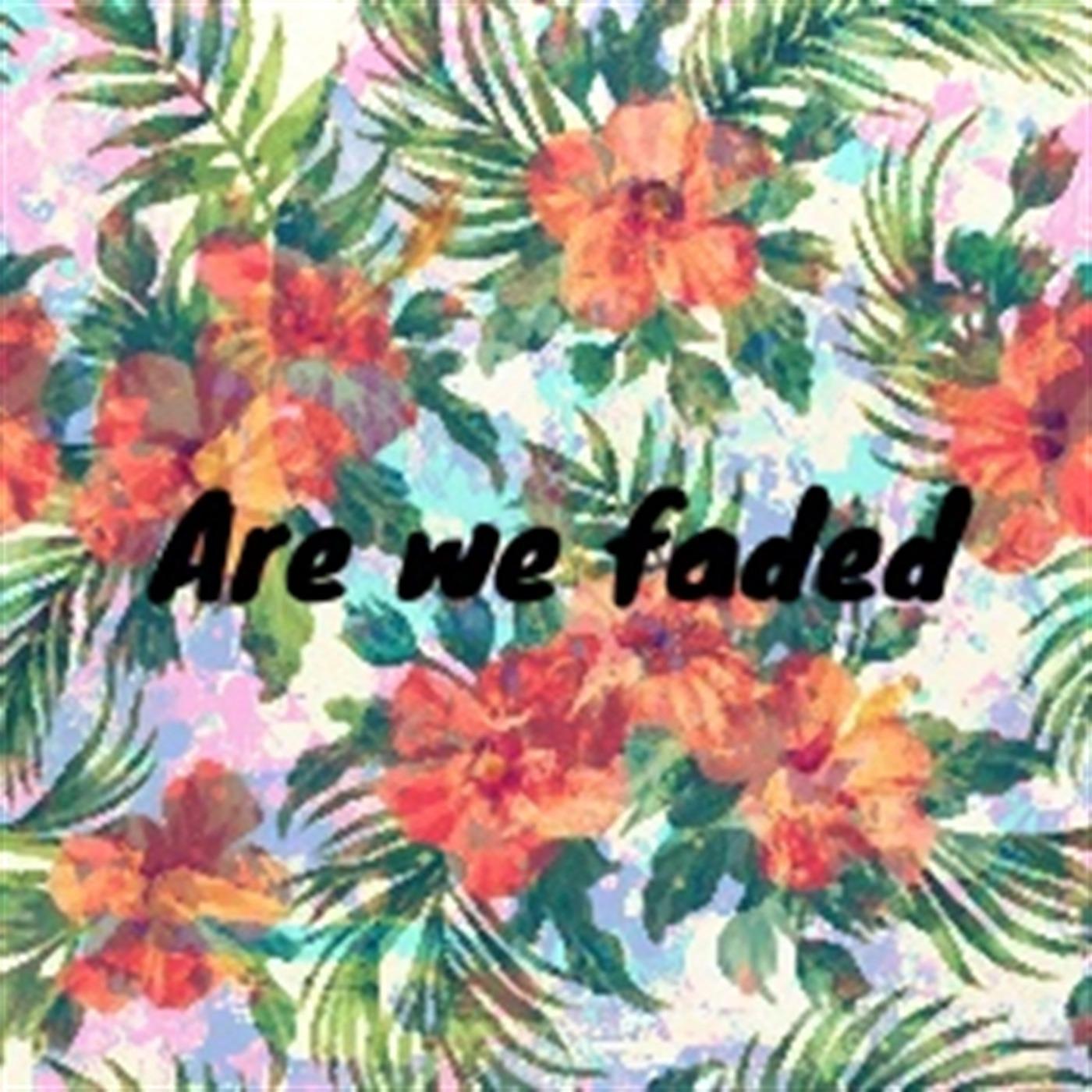 Постер альбома Are We Faded (feat. Mija)
