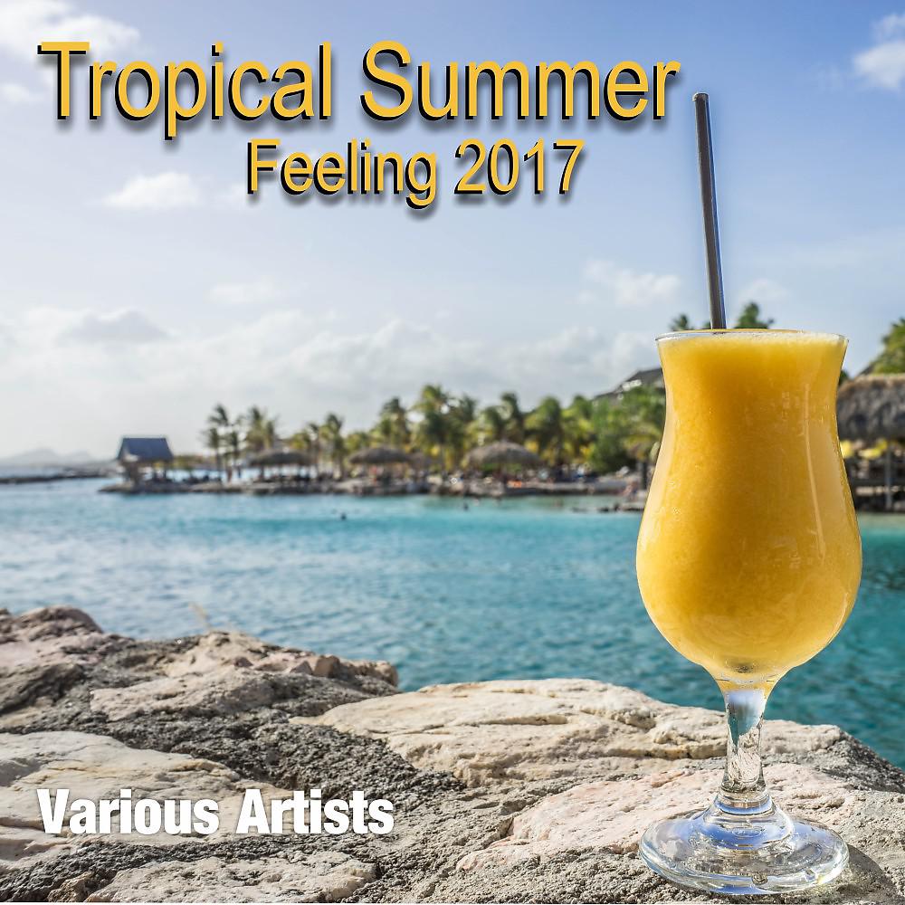 Постер альбома Tropical Summer Feeling 2017