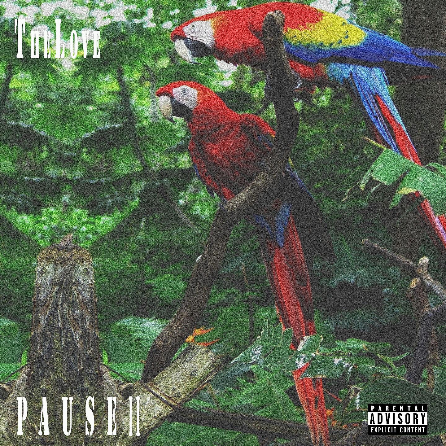 TheLove - Pause, pt. 2