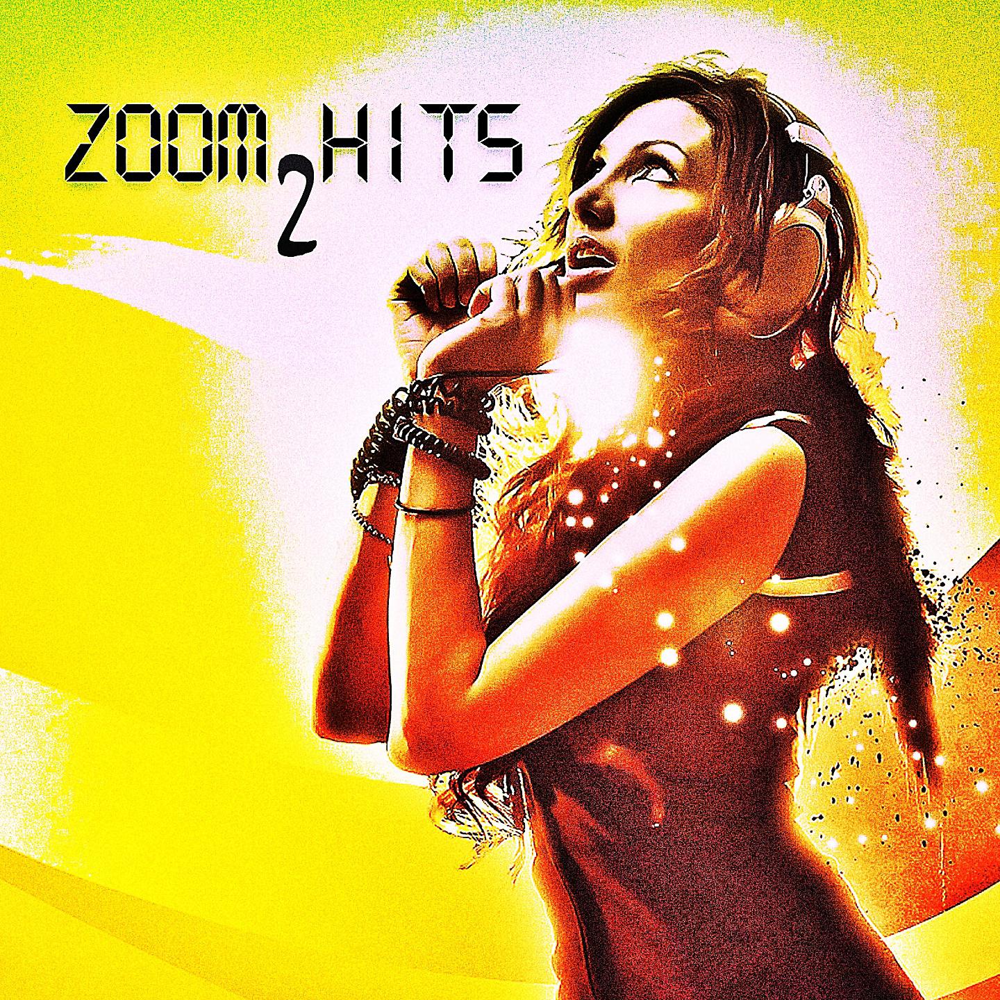 Постер альбома Zoom Hits 2