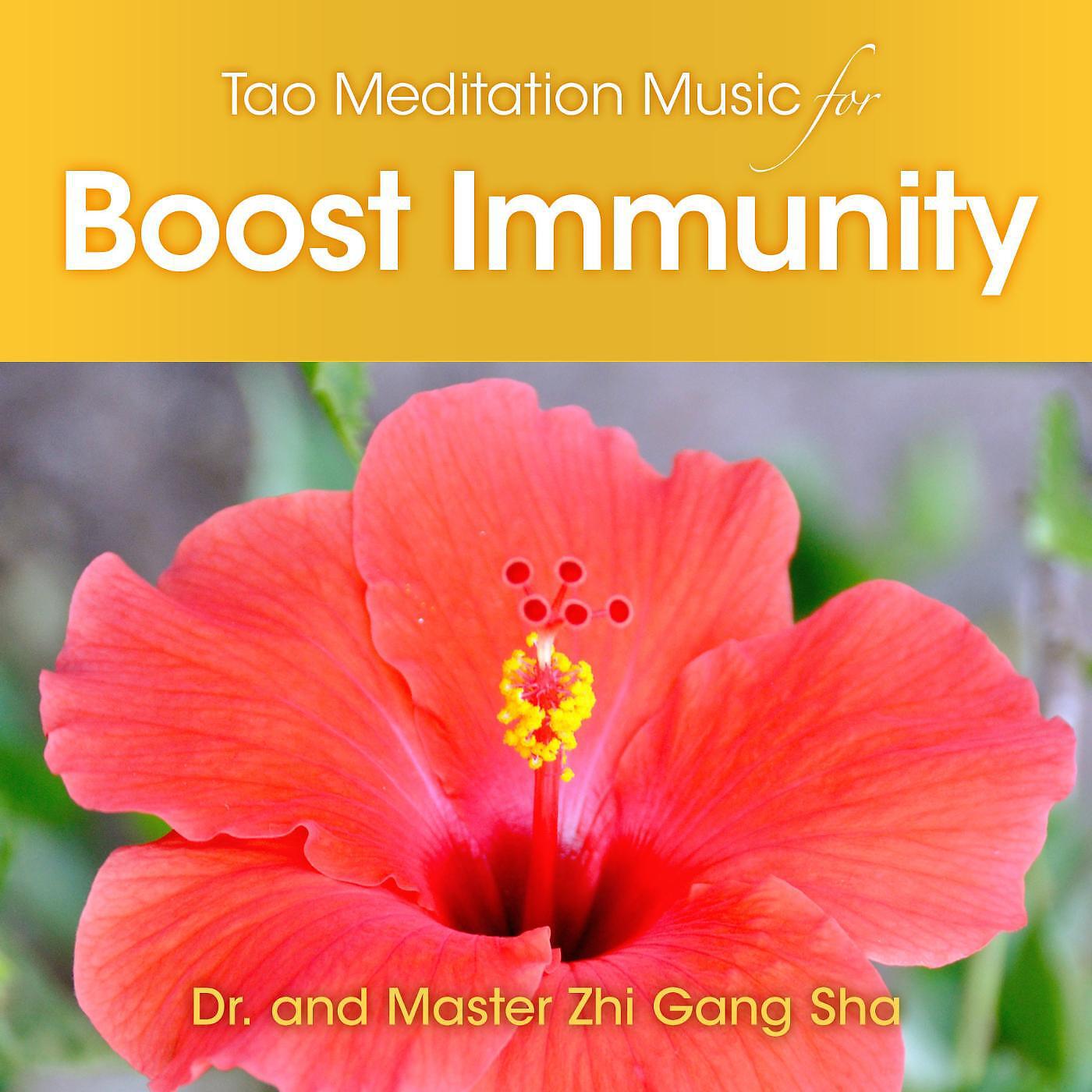 Dr. & Master Zhi Gang Sha - Tao Meditation Music to Boost Immunity