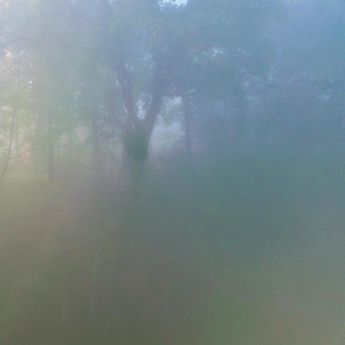 Wakings - The Quietest Place