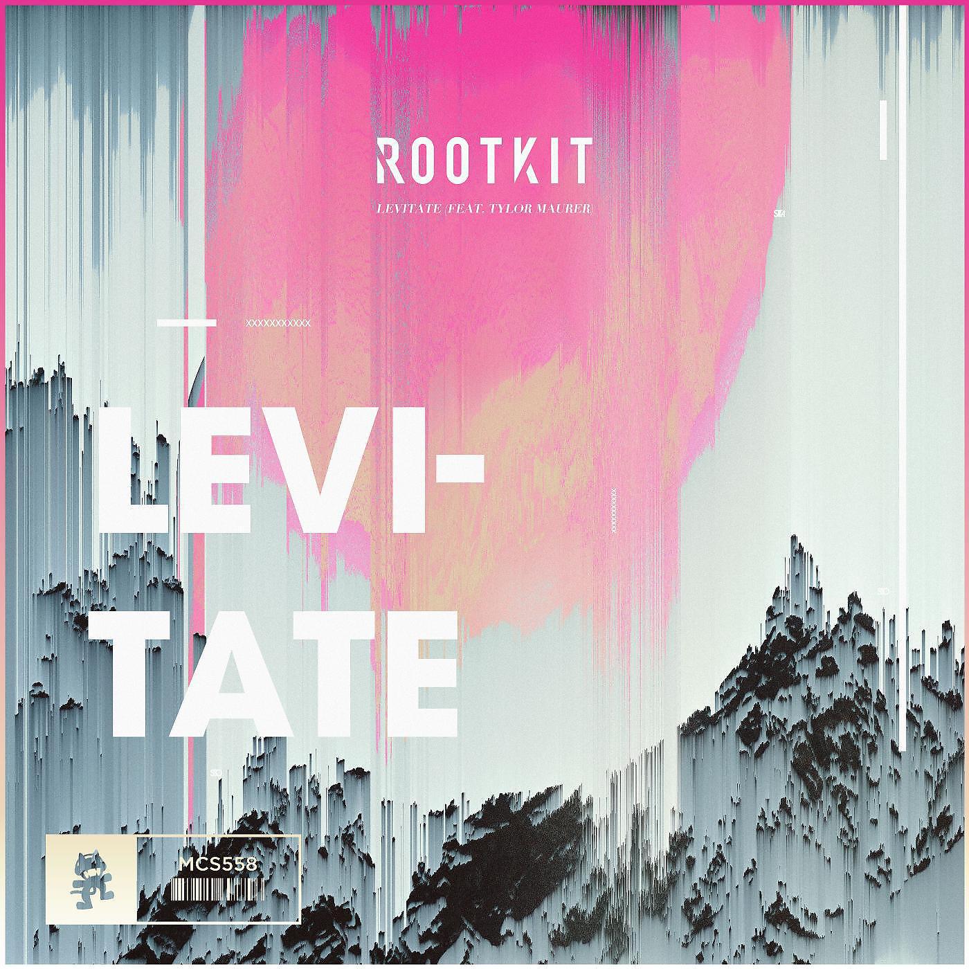 Постер альбома Levitate (feat. Tylor Maurer)