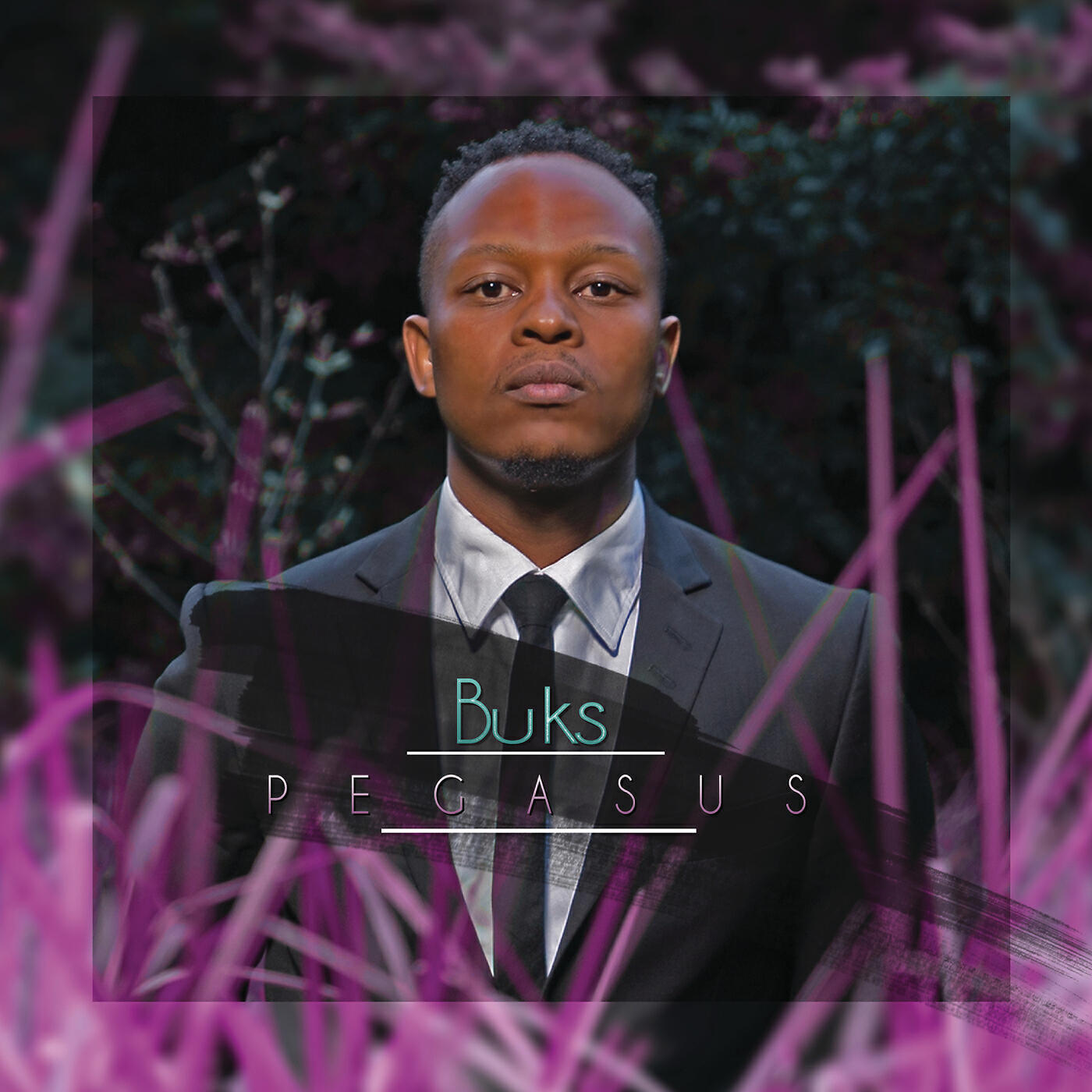 Buks - Overachiever