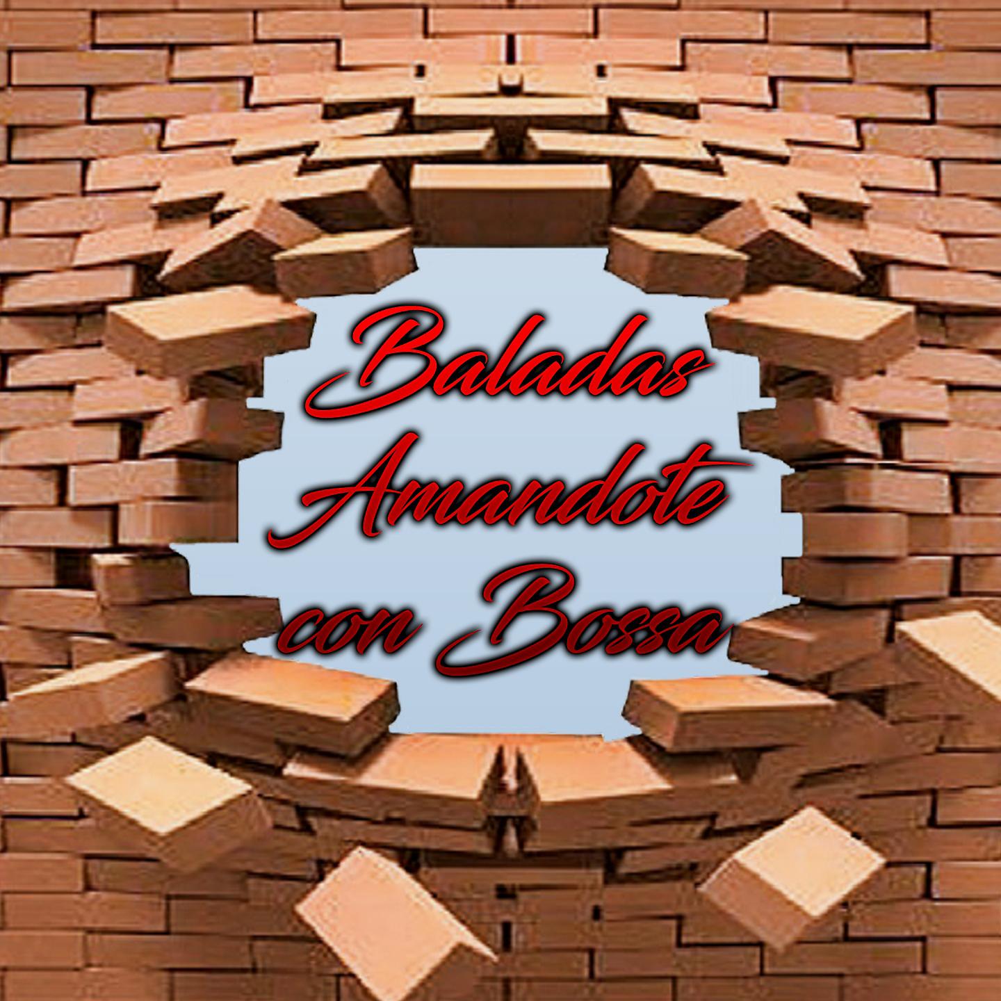 Постер альбома Baladas Amandote Con Bossa