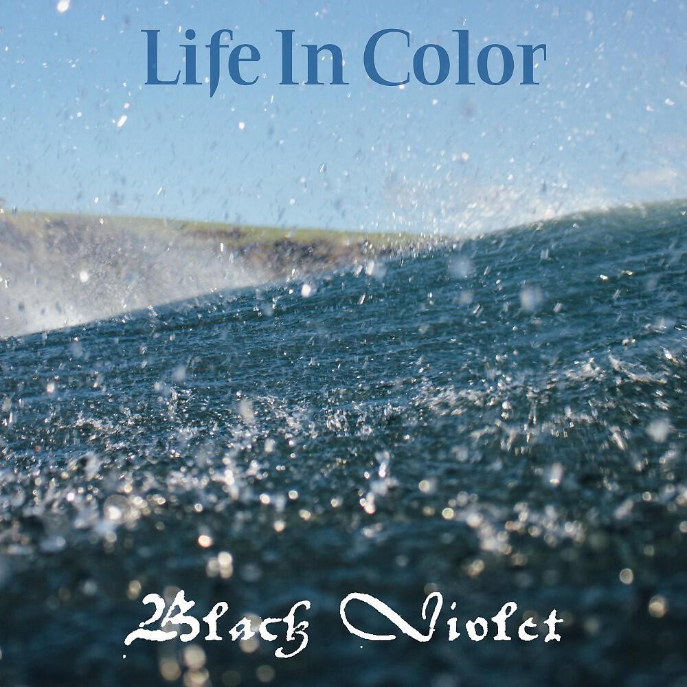Black Violet - Dont Go on My Nerves