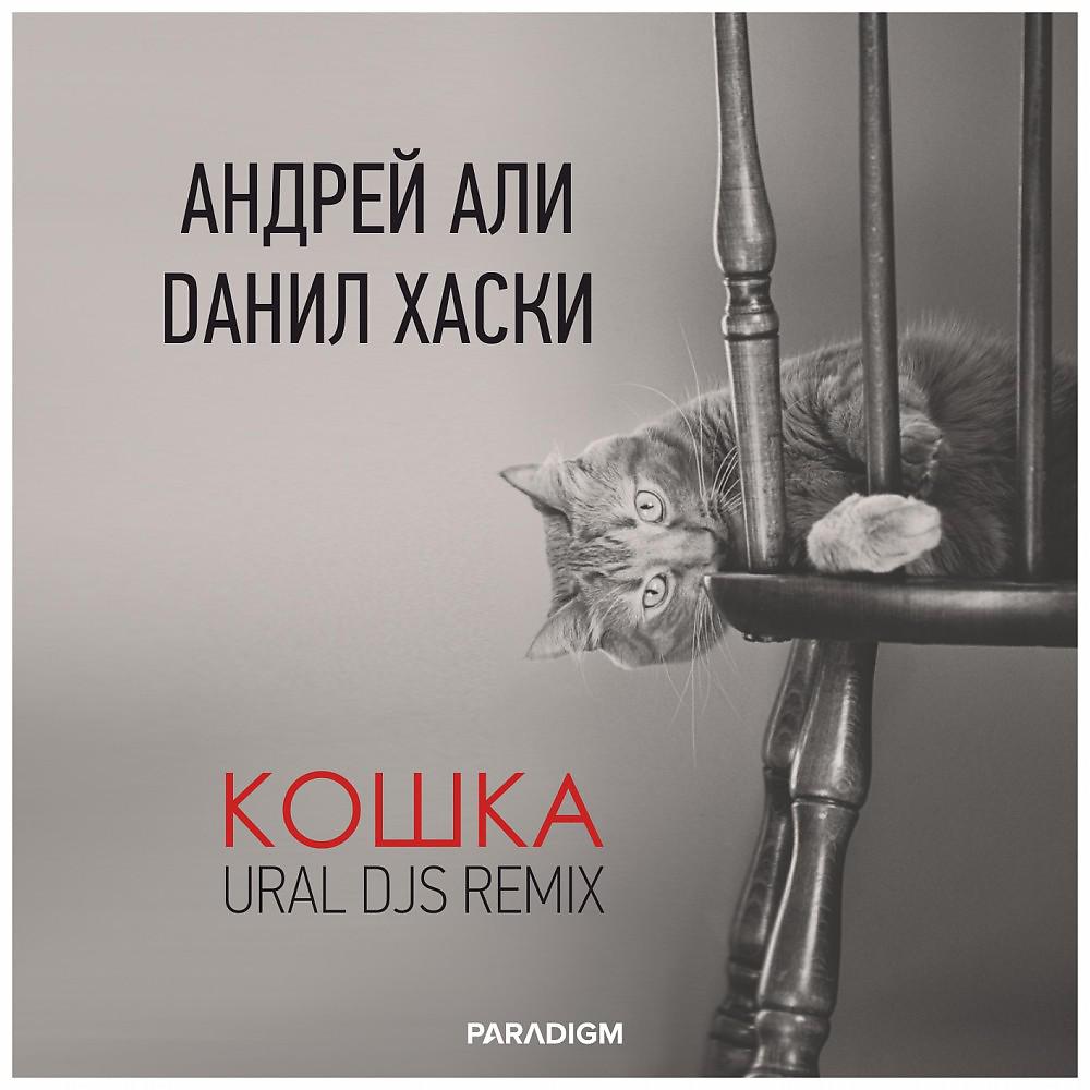 Постер альбома Кошка (Ural Djs Remix)