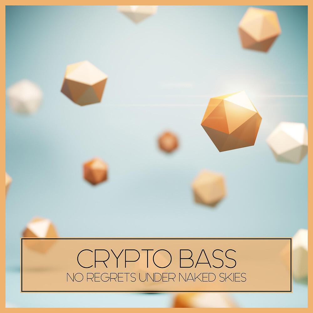 Crypto Bass - No Regrets Under Naked Skies
