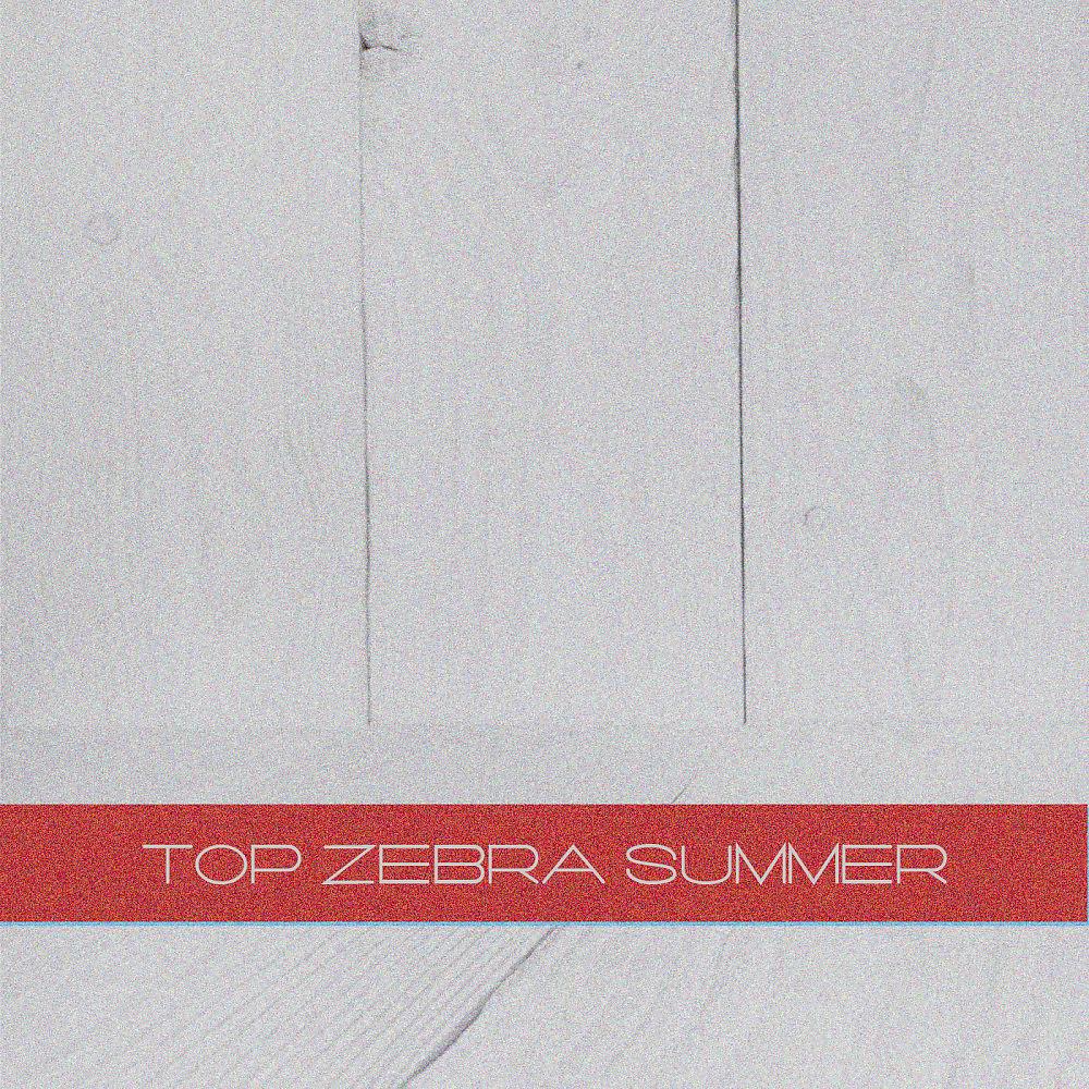 Постер альбома Top Zebra Summer