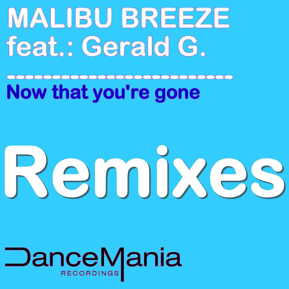 Malibu Breeze - Now That You're Gone (N-Todd Bigroom Mix)