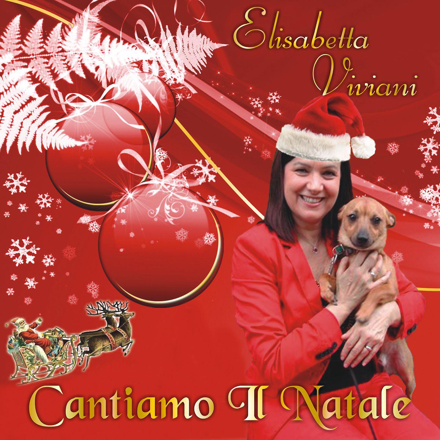 Постер альбома Cantiamo il Natale
