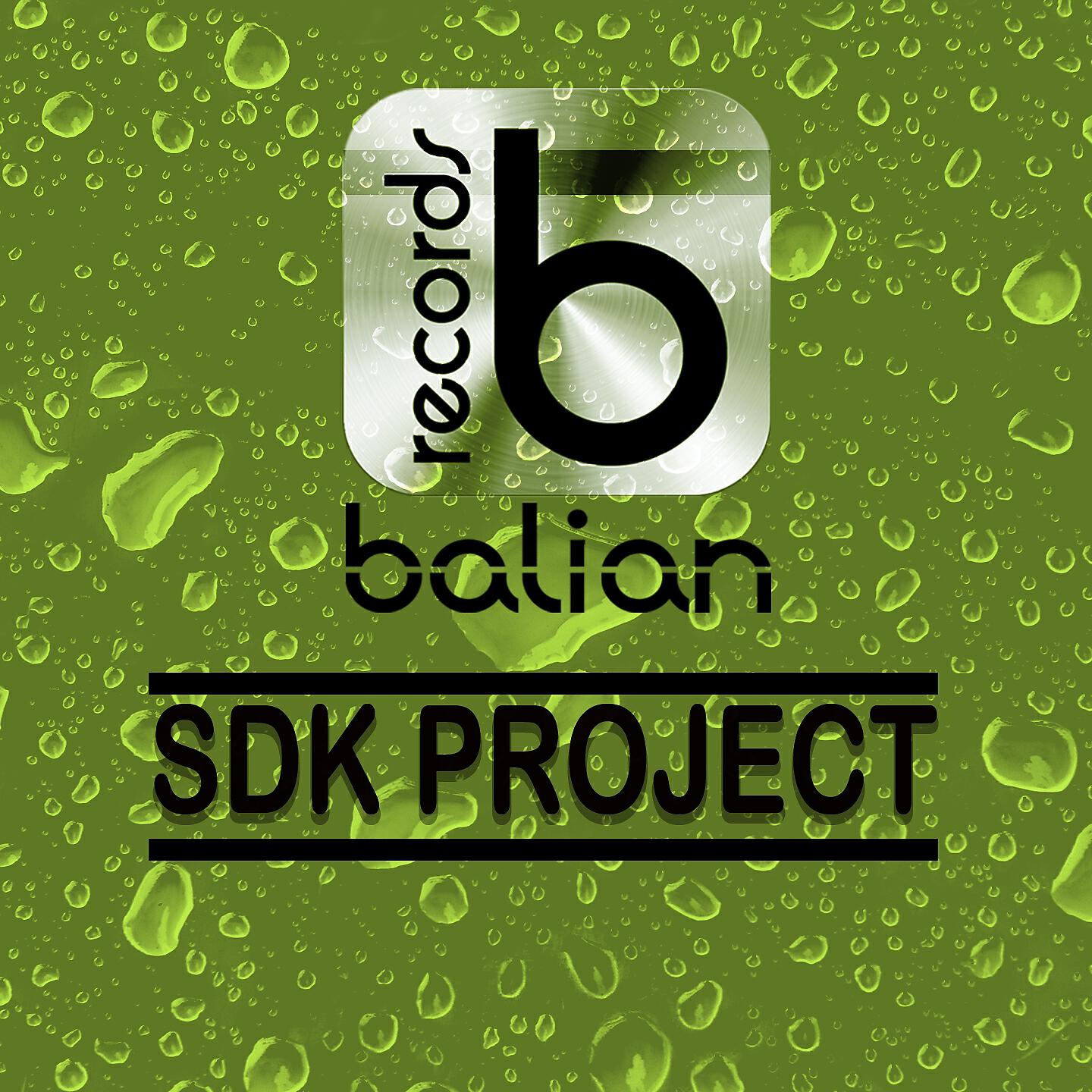 Project sdk. Sdk project.