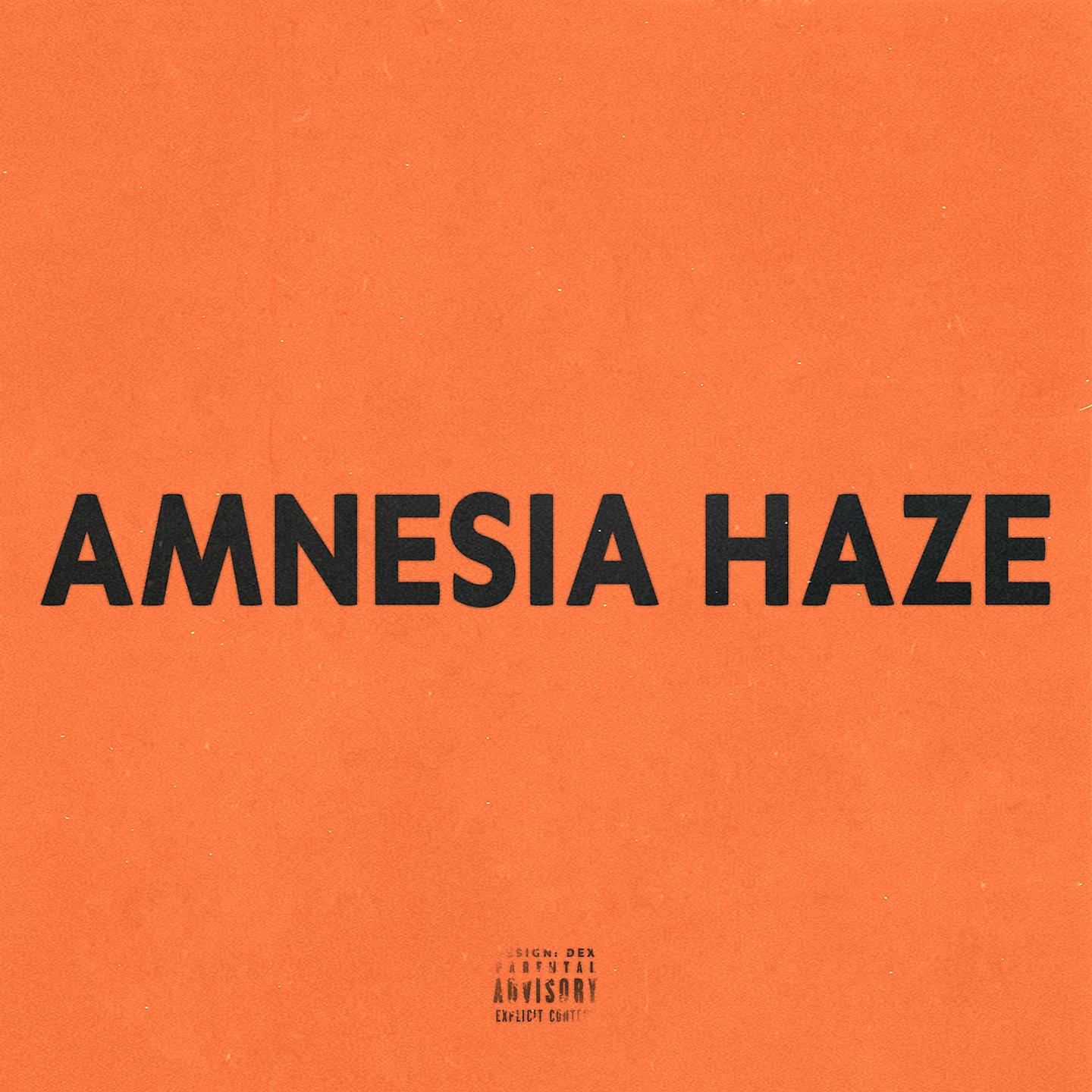 Постер альбома AMNESIA HAZE