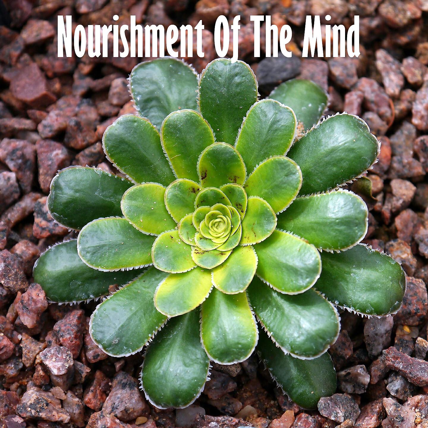Meditation Awareness - White Noise Flood