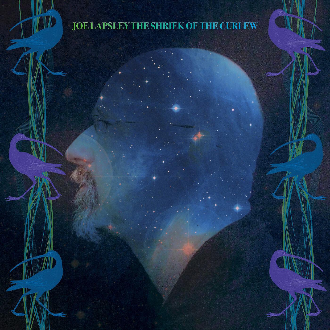 Joe Lapsley - You're More Like a Bonobo Than a Chimp