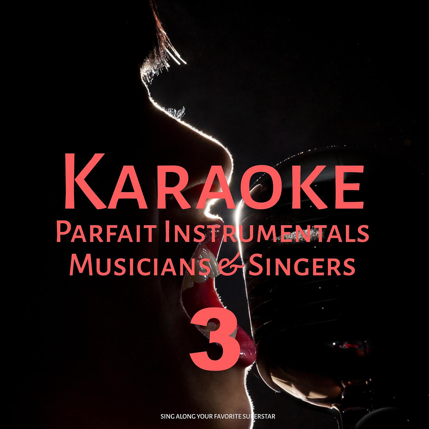 Постер альбома Karaoke Parfait Instrumentals Musicians & Singers, Vol. 3