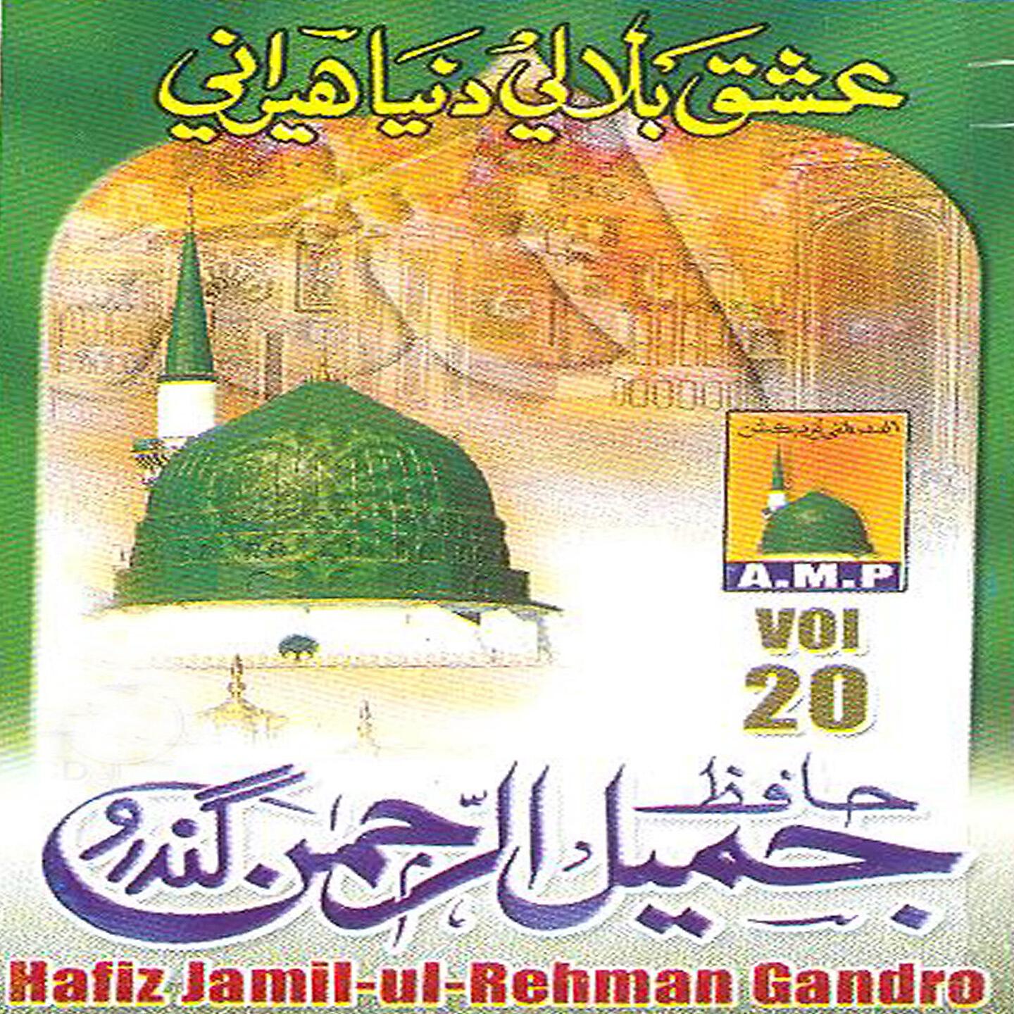 Hafiz Jamil Ul Rehman Gandro - Allah Saayein Har Jae Te