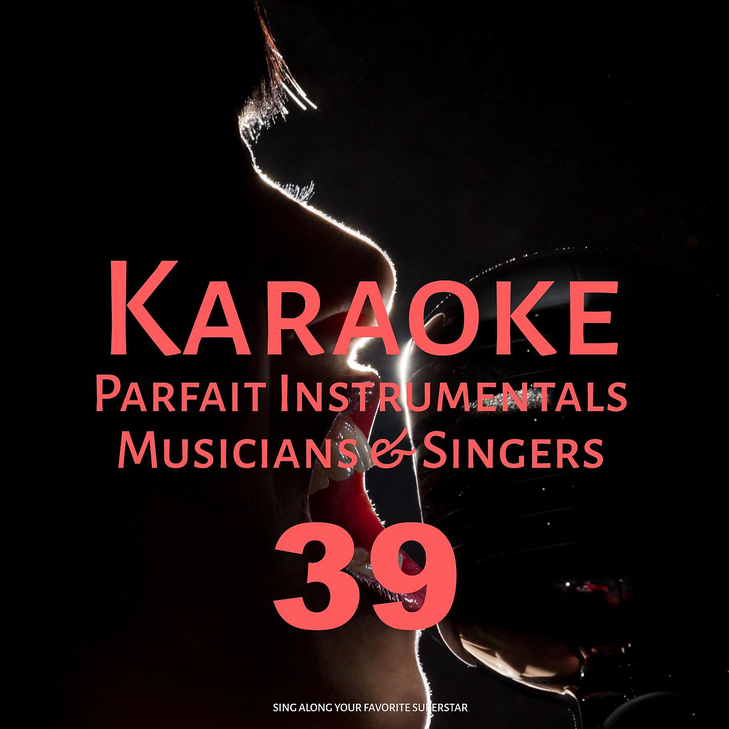 Постер альбома Karaoke Parfait Instrumentals Musicians & Singers, Vol. 39