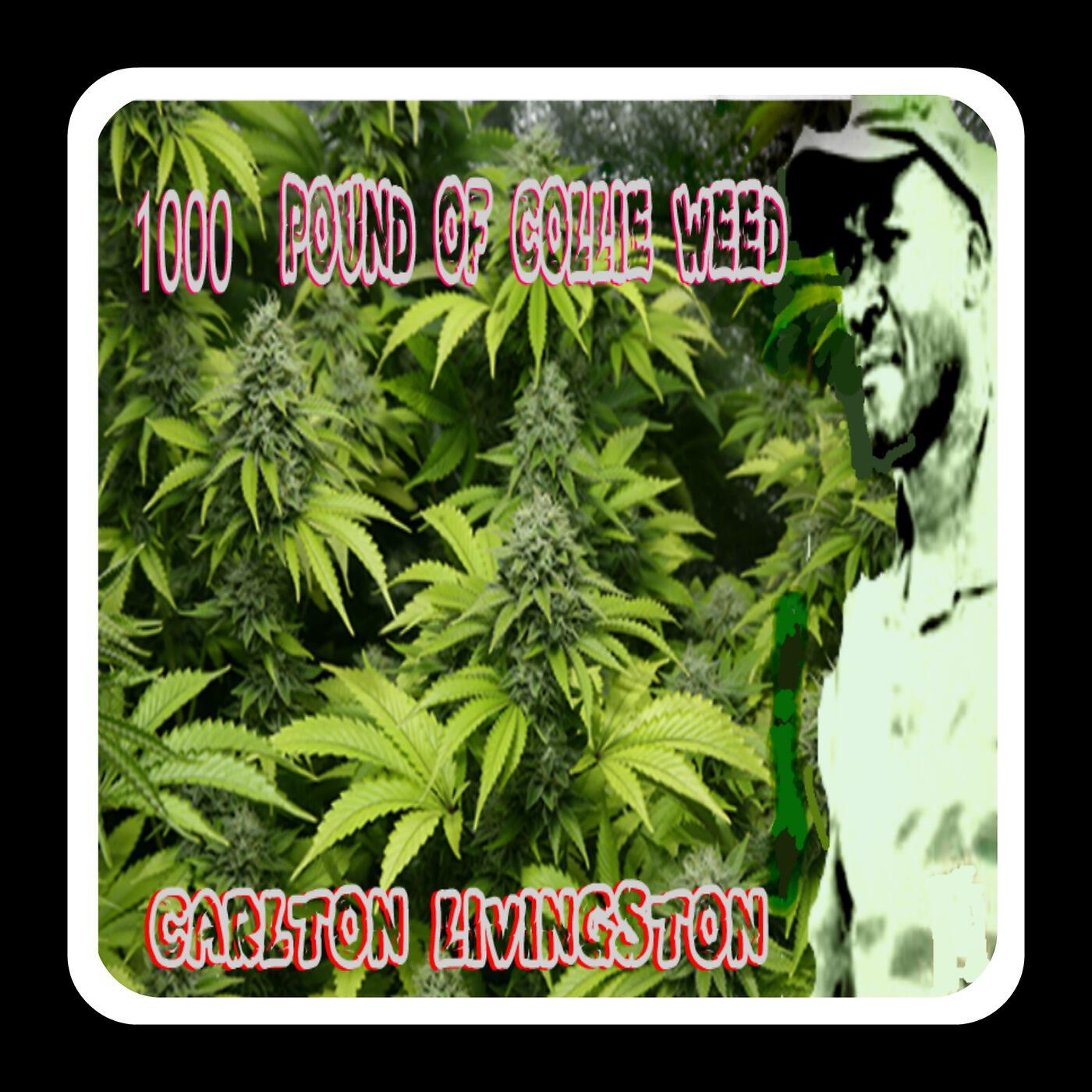 Carlton Livingston - 1000 Lbs of Collie Weed