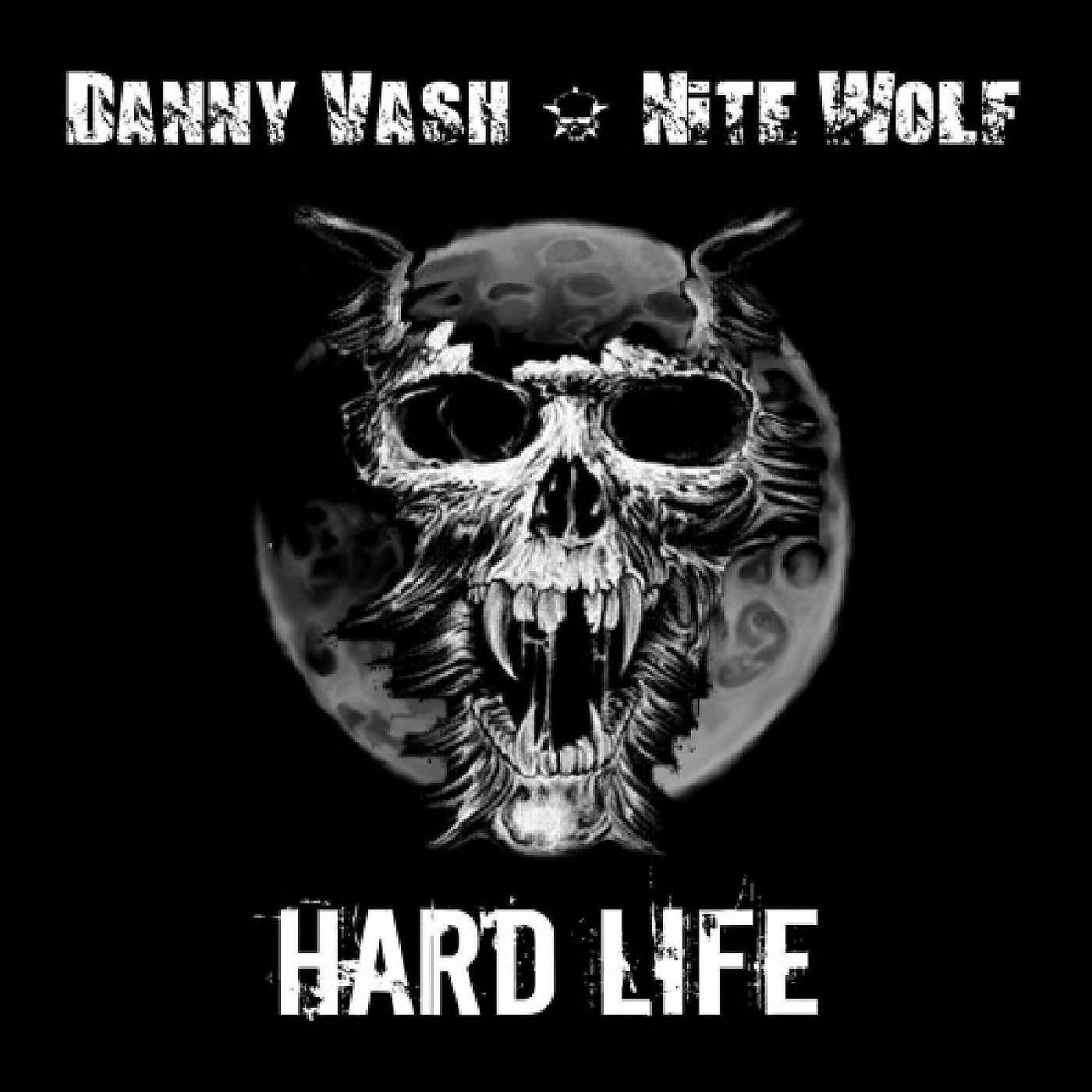 Danny Vash - Hard Life (feat. Danny Saber & Kenny Aronoff)