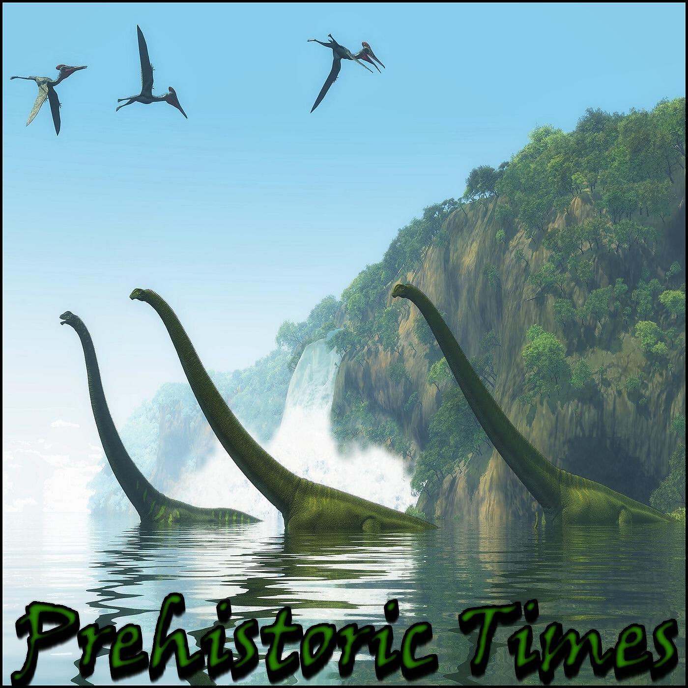 Brandon Fiechter - Stone Age
