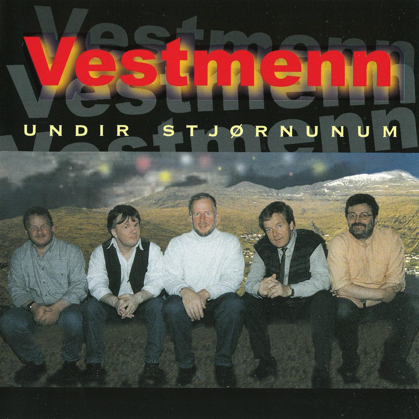 Постер альбома Undir Stjørnunum