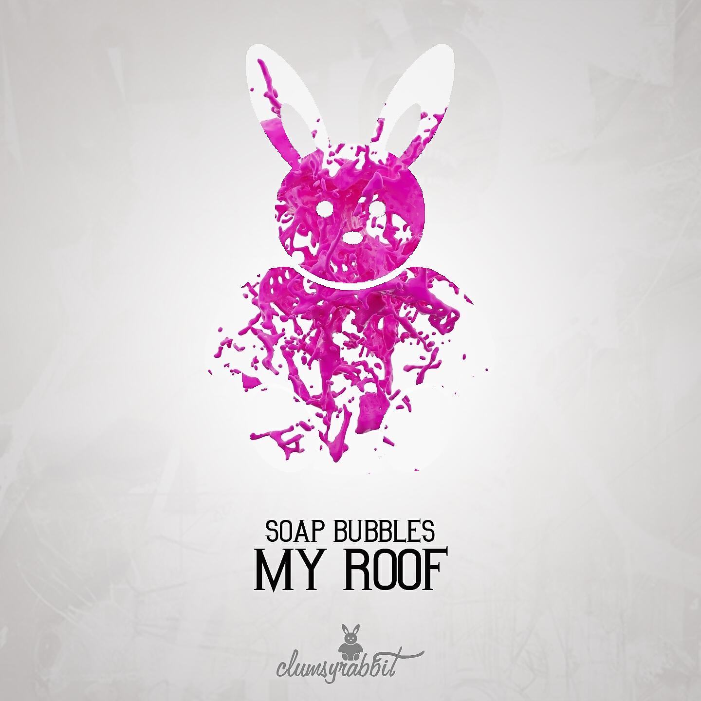 Soap Bubbles - My Roof