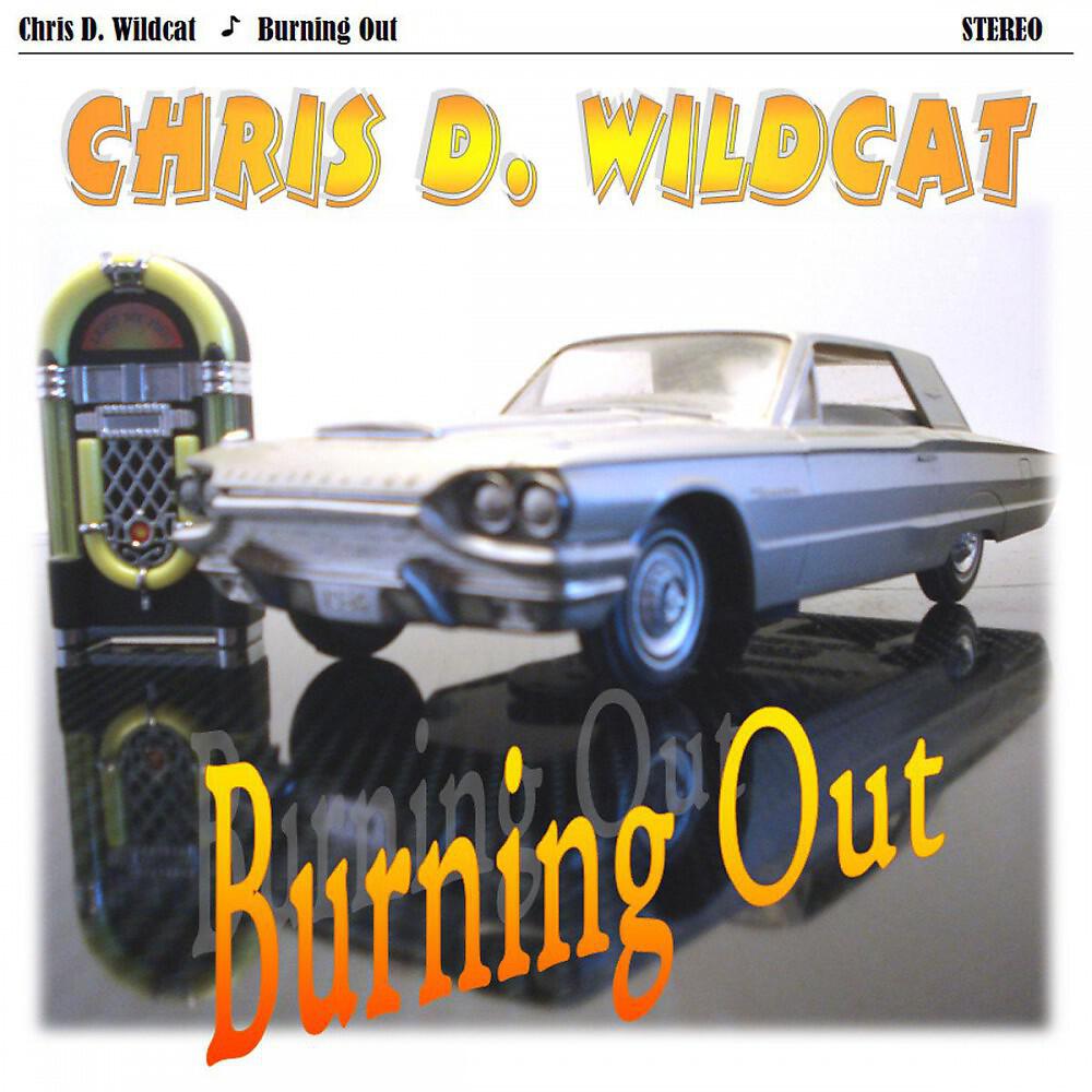 Chris D. Wildcat - Unplug The Plug