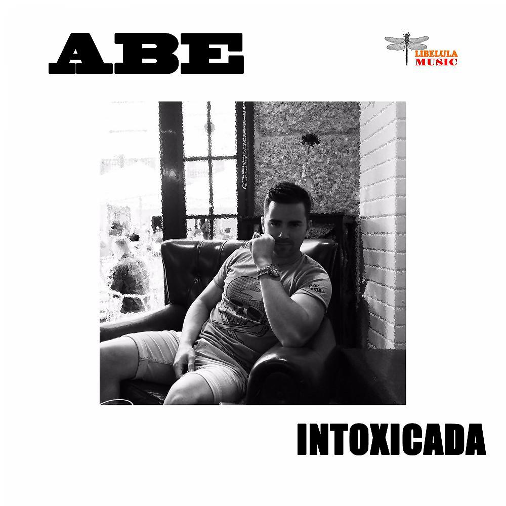 Постер альбома Intoxicada (DJ.funny Radio Mix)