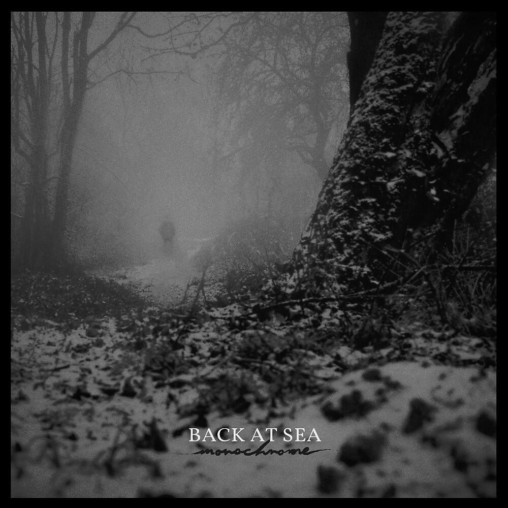 Back at Sea - Decapitated