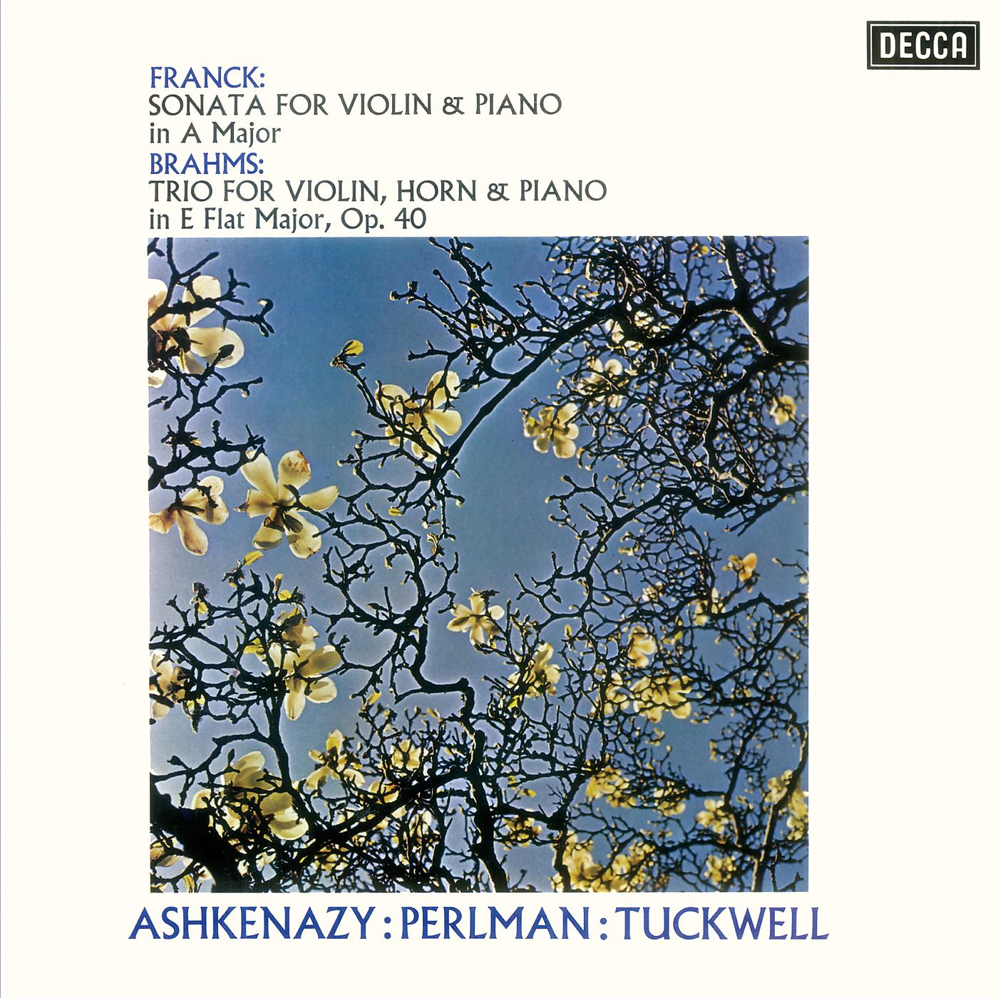 Barry Tuckwell - Brahms: Horn Trio In E Flat, Op.40 - 3. Adagio mesto