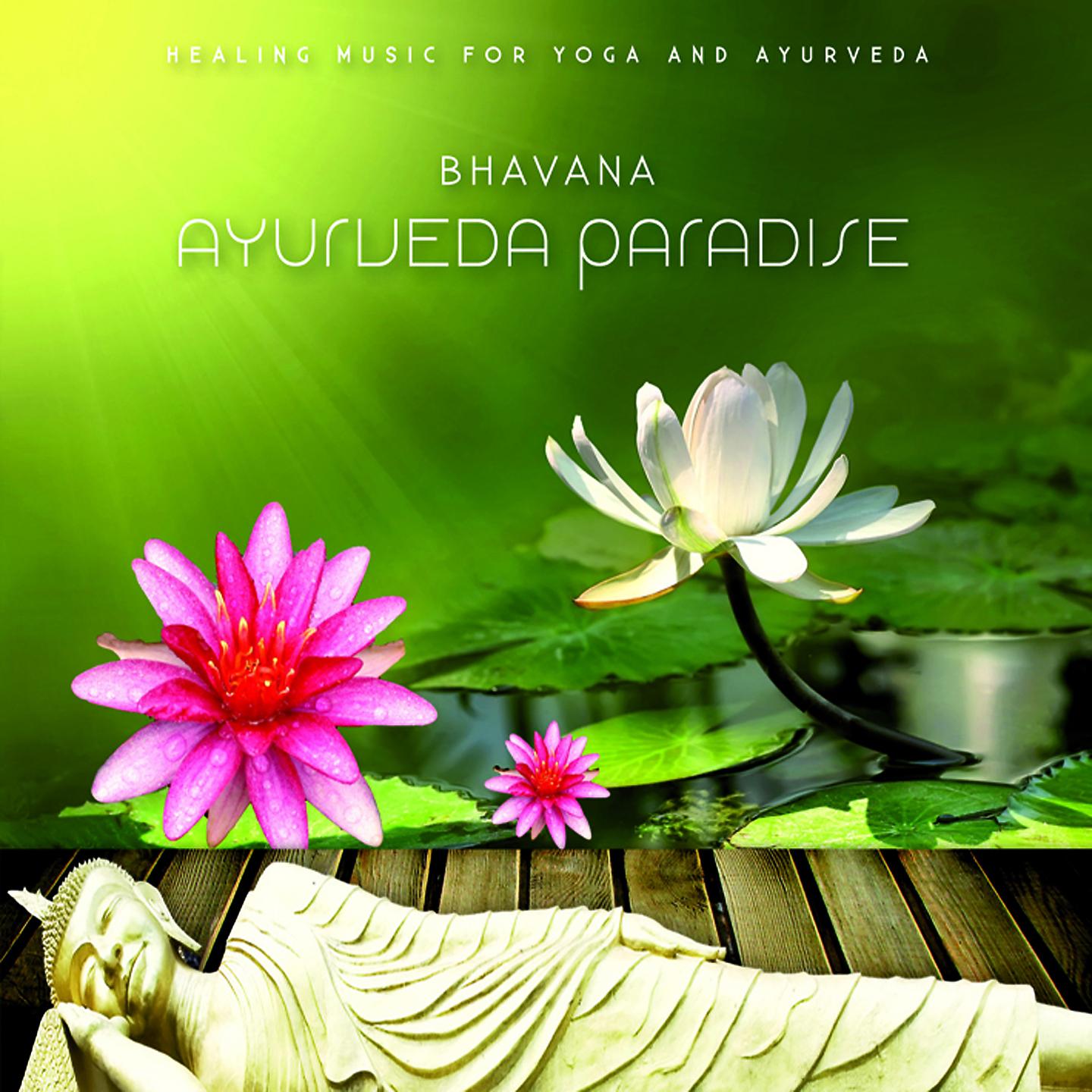 Постер альбома Ayurveda Paradise