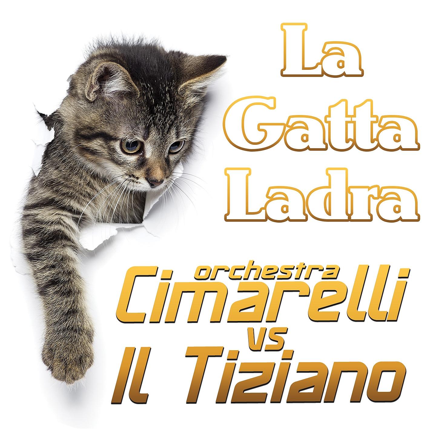 Постер альбома La gatta ladra