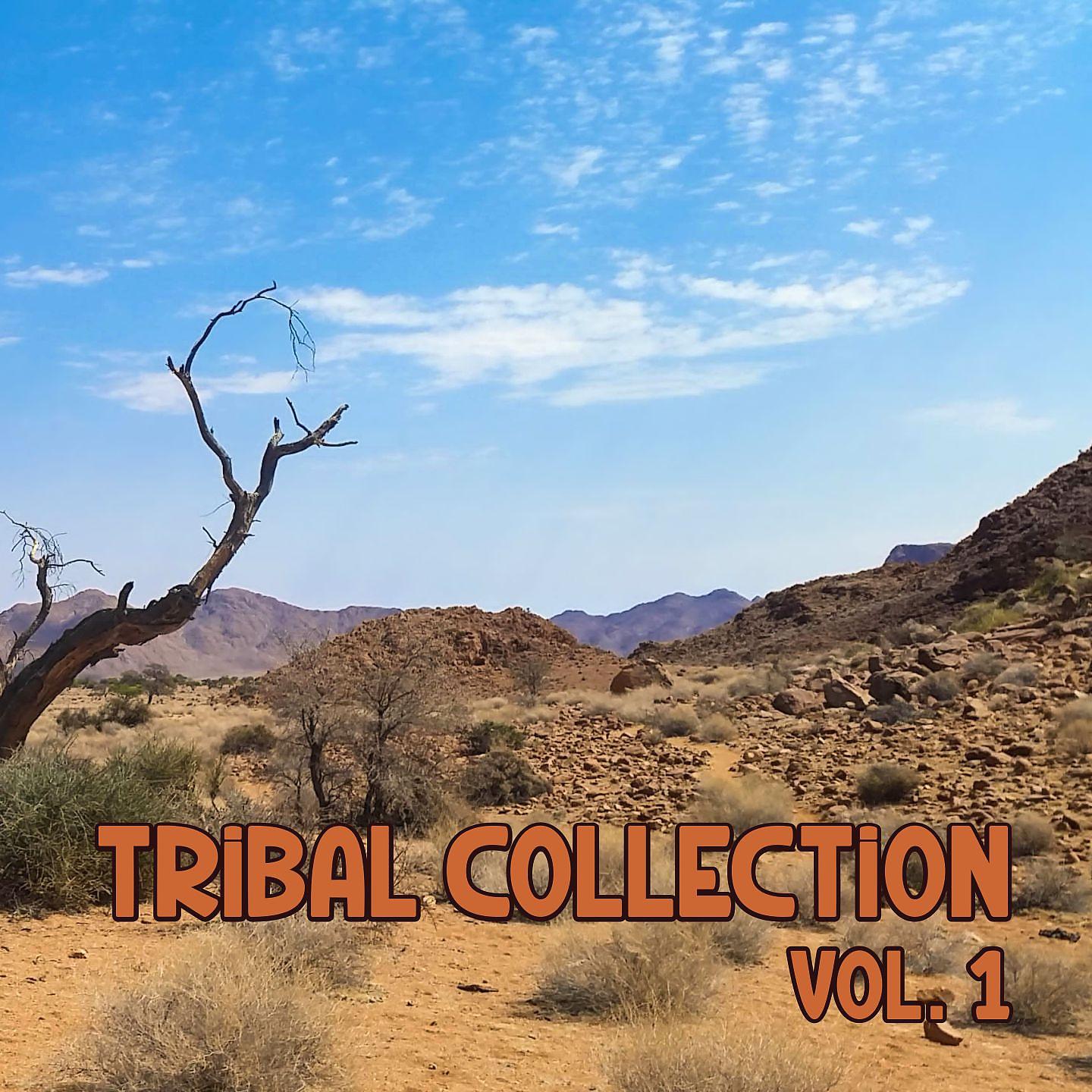 Постер альбома Tribal Collection, Vol. 1