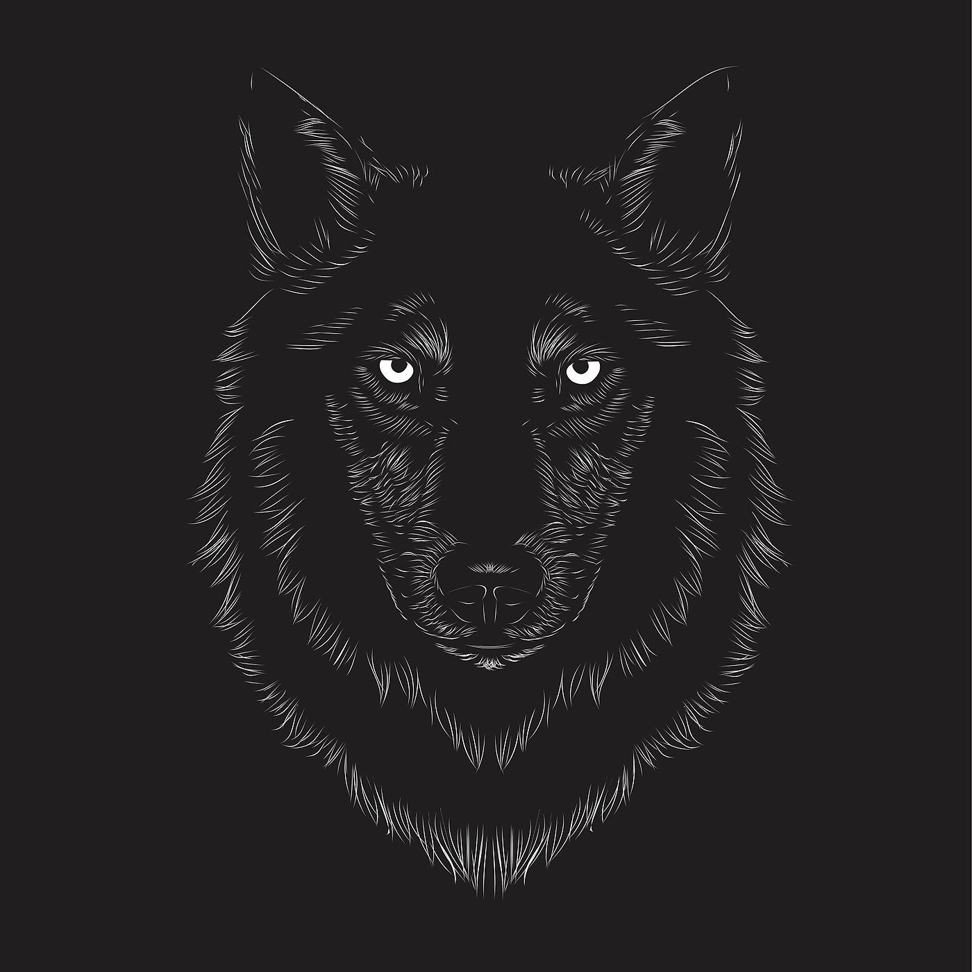 Постер альбома Bird Wolf Human