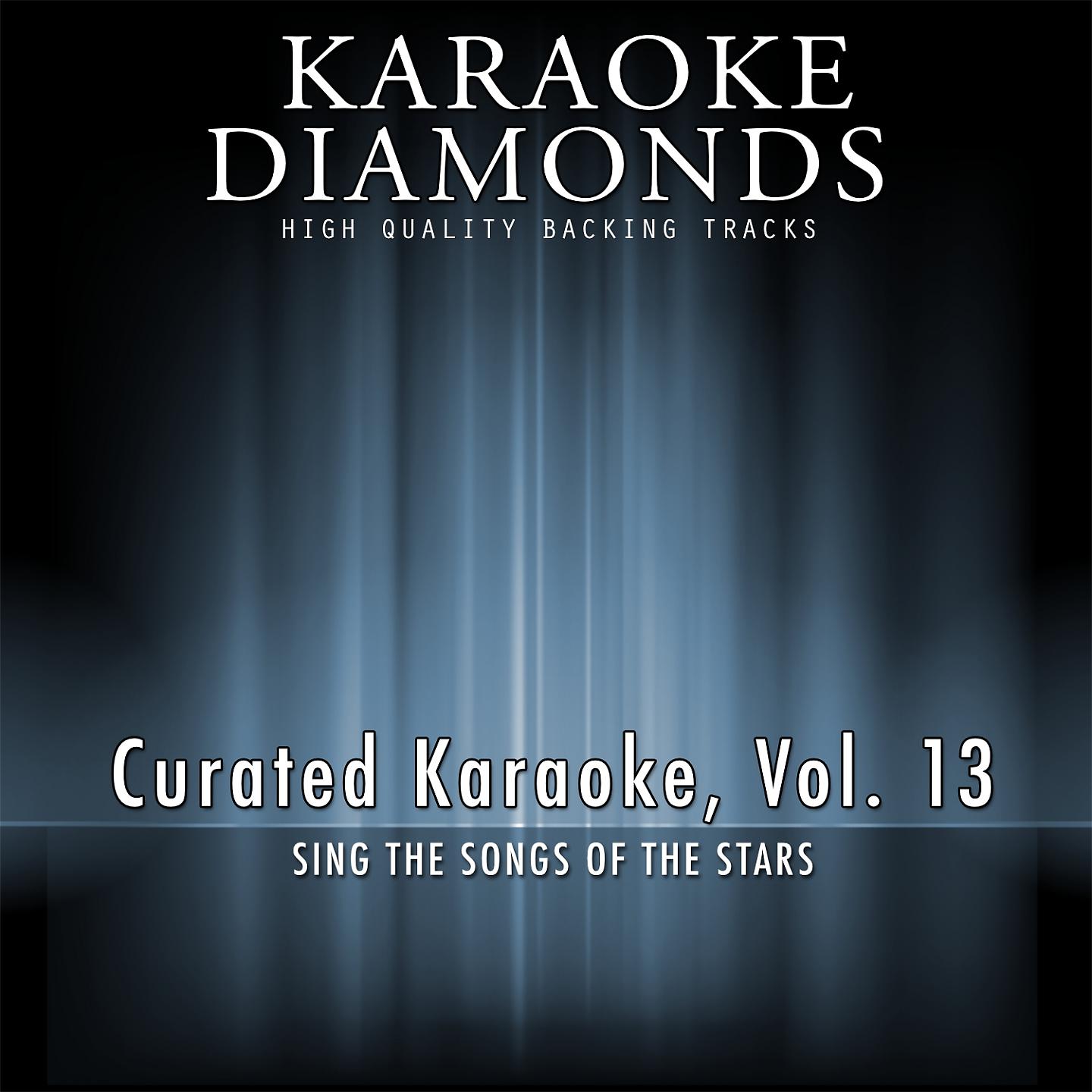 Постер альбома Curated Karaoke, Vol. 13
