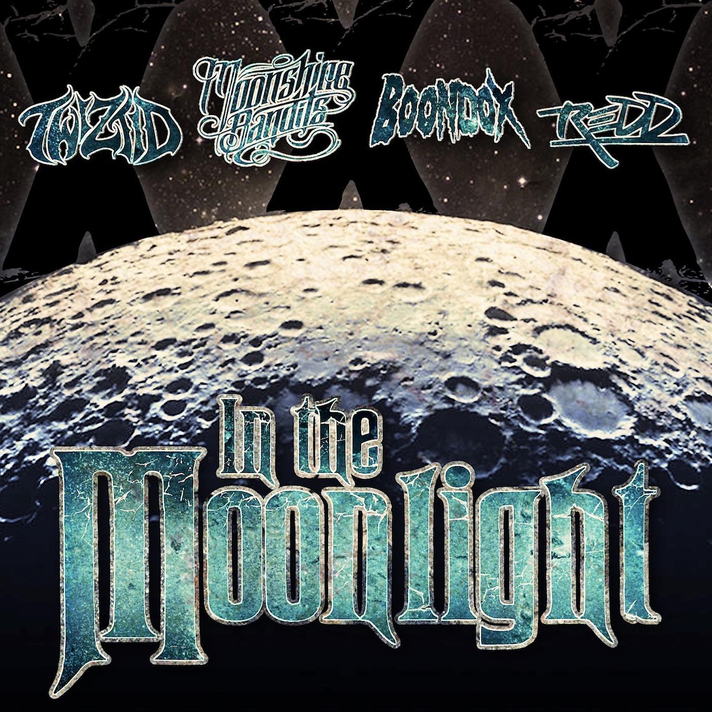Постер альбома In the Moonlight