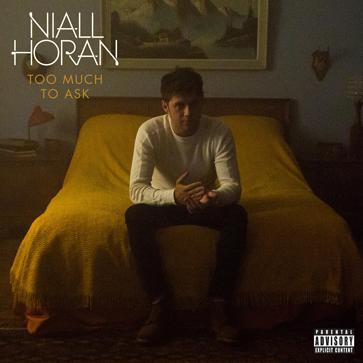 Niall Horan - Too Much To Ask