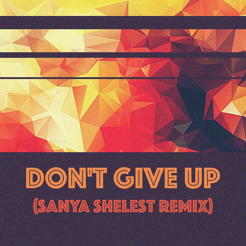 Постер альбома Don't Give Up (Sanya Shelest Remix)