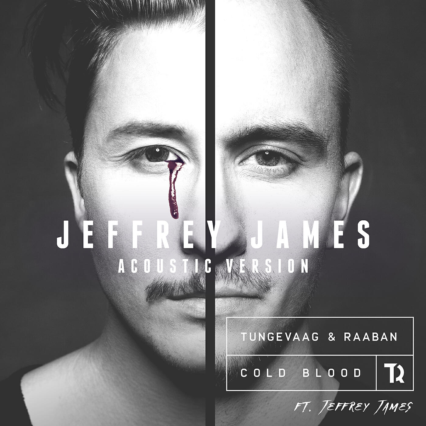 Tungevaag - Cold Blood (Jeffrey James Acoustic Version)
