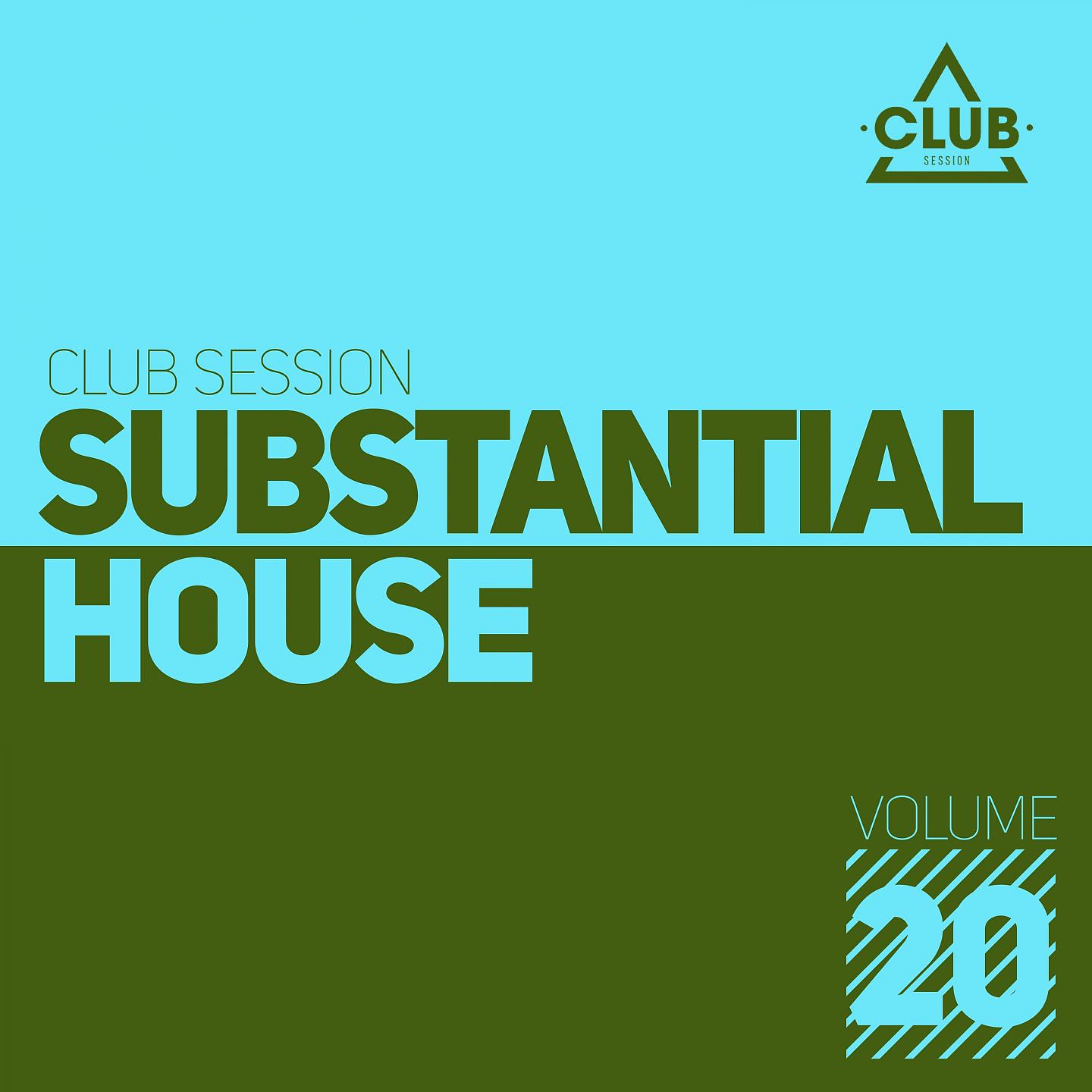 Постер альбома Substantial House, Vol. 20