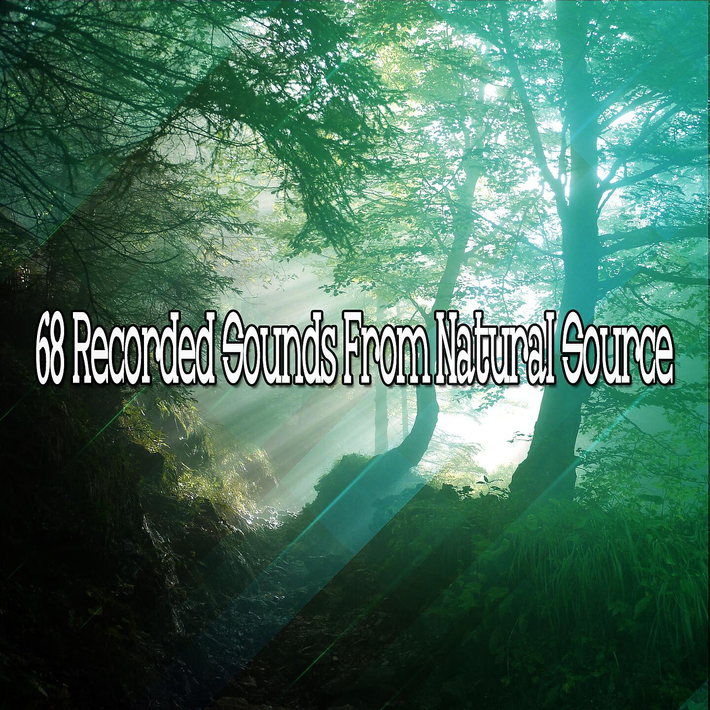 Pro Sounds Effects Library - The Dawn Chorus Of Binaural Beats