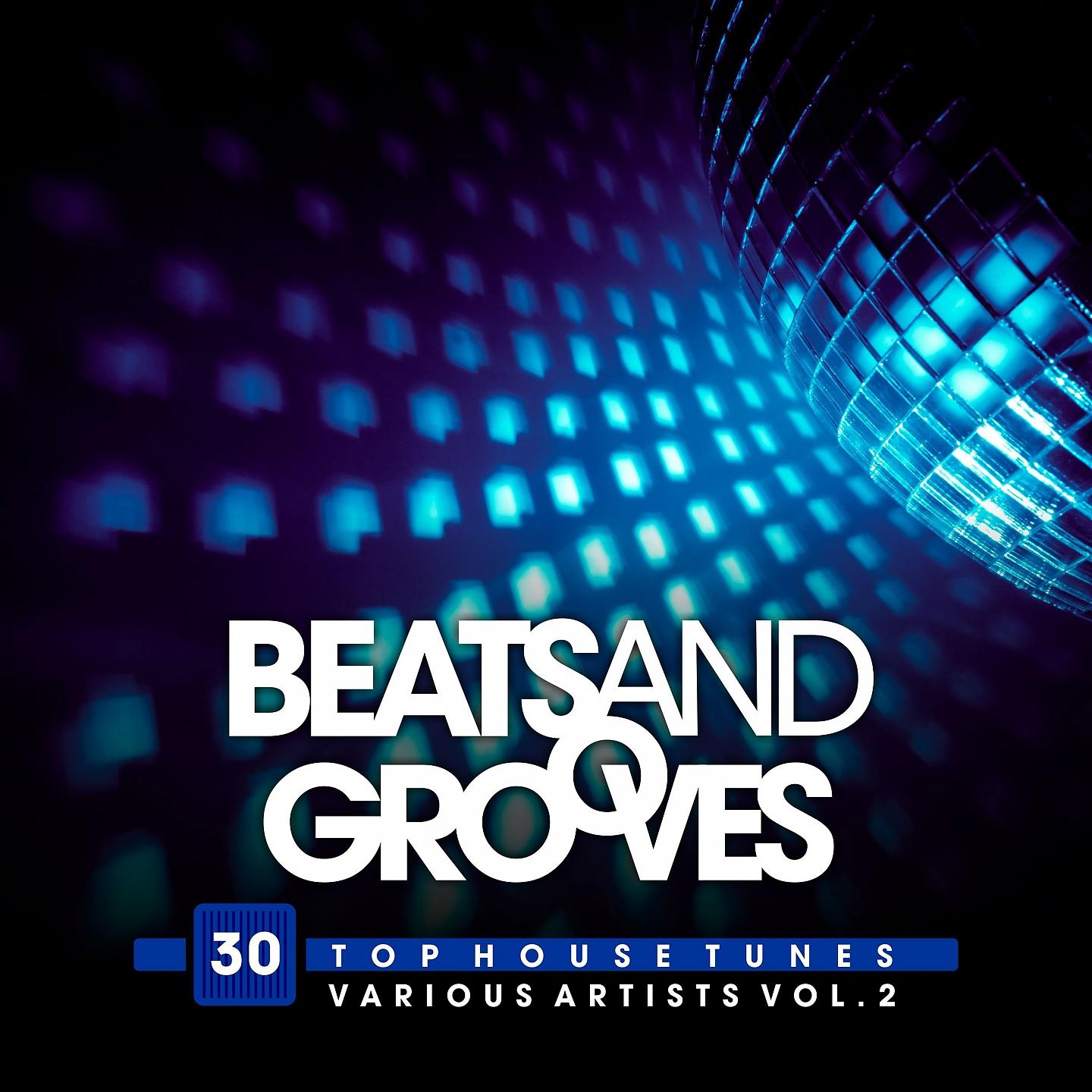 Постер альбома Beats and Grooves (30 Top House Tunes), Vol. 2