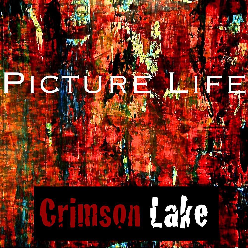 Постер альбома Picture Life