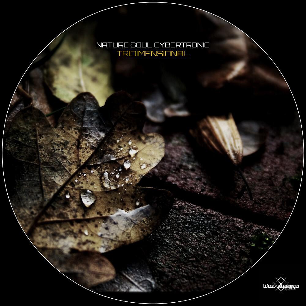 Nature Soul Cybertronic - Tridimensional, Pt. 2
