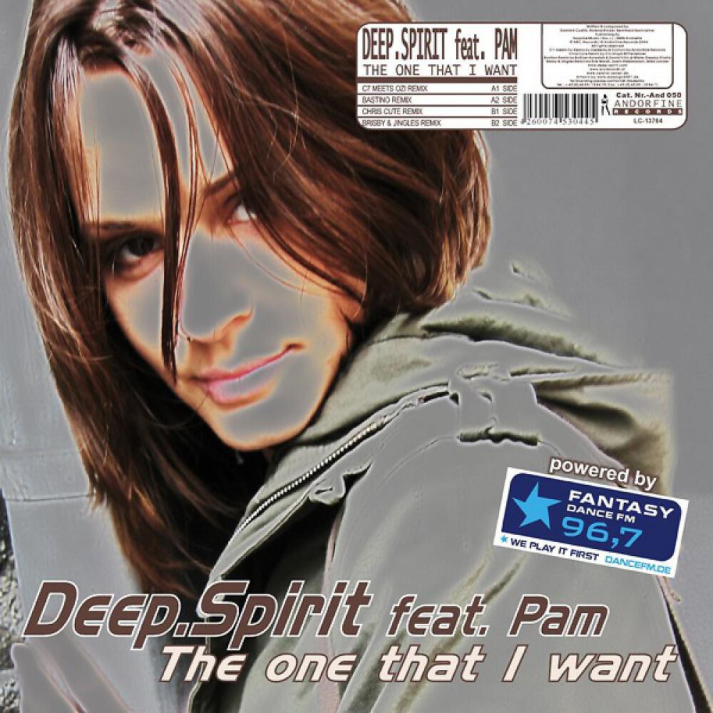 DEEP.SPIRIT - The One That I Want (Bastino Remix)