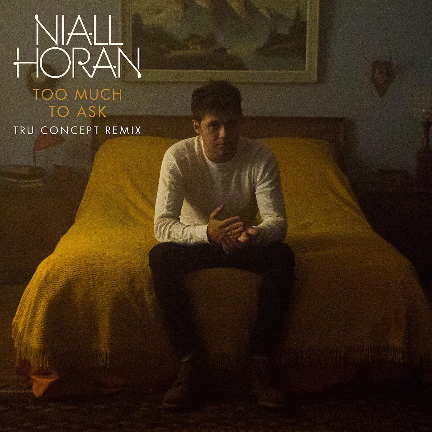 Niall Horan - Too Much To Ask (TRU Concept Remix)