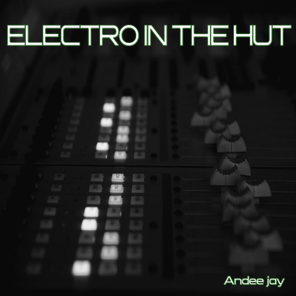 Постер альбома Electro in the Hut