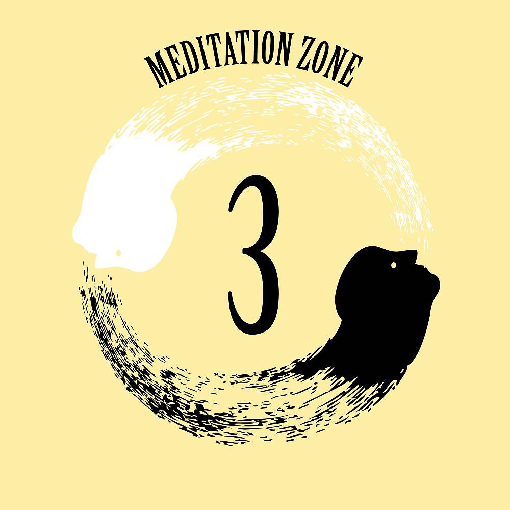 Постер альбома Meditation Zone 3
