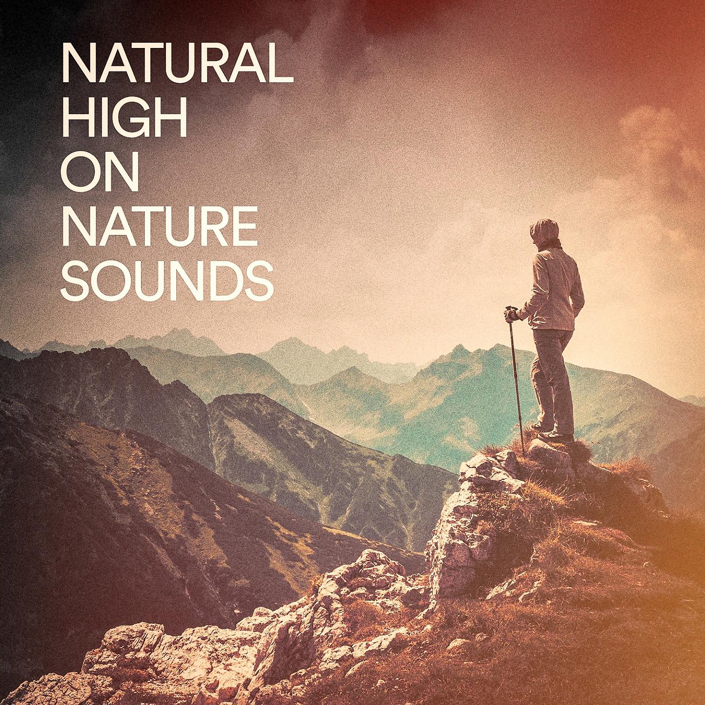 Постер альбома Natural High on Nature Sounds